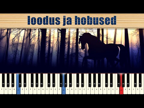 5MIINUST x HENDRIK SAL SALLER - loodus ja hobused | Klaveril