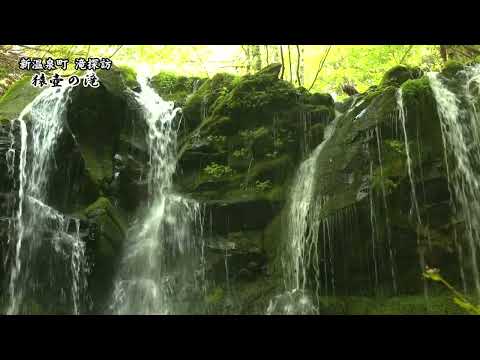 新温泉町滝探訪・猿壺の滝