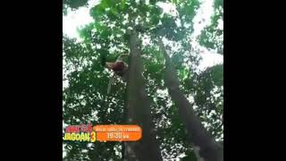 Download lagu Sinetron Emak Gue Jagoan 3||Nanti malam y jam 19.30 mp3 Download lagu Sinetron Emak Gue Jagoan 3||Nanti malam y jam 19.30 mp3