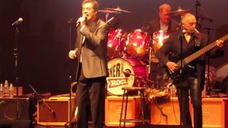 Susan - The Buckinghams