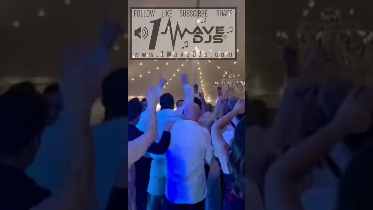 Promotional video thumbnail 7 for 1Wave DJs