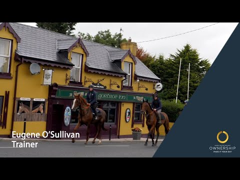 Eugene O'Sullivan, Trainer