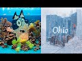 Pibby Bluey Ohio But You Ll Have To Squint Your Eyes