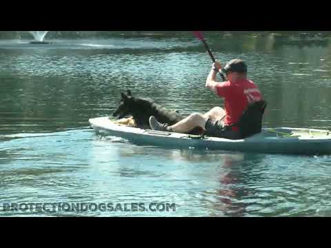 Going On A Kayaking Trip With "Duel" On The River