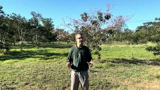 Haz que tus PEDIDOS se Entreguen - Dropshipping Paraguay - Jose Flores