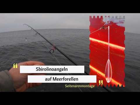 Mit Sbirolino auf Meerforelle - Die Seitenmontage