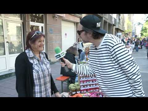 Moj ceger 12.05.2019. Dorćolijada, Gospodar Jevremova