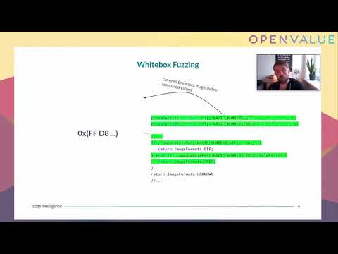 Fuzzing for Everyone - Feedback Based Application Testing for Open Source Projects by Sergej Dechand