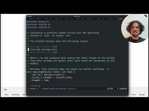 Impariamo il C, lezione 13: il trucco dei metadati nascosti  dietro al puntatore