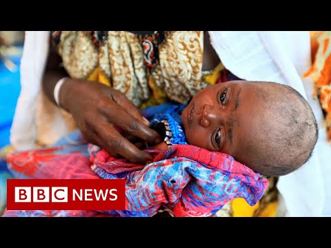 衣索匹亞人權委員會:至少有600人在提格雷大屠殺中喪生 - BBC新聞網 (Ethiopia human rights Commission: At least 600 killed in Tigray massacre - BBC News)