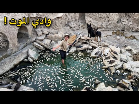 العودة إلى المغامرات ( لكن بلا روك ) صدمة الوادي! ⚠️ 