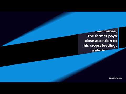 life is like the changing seasons