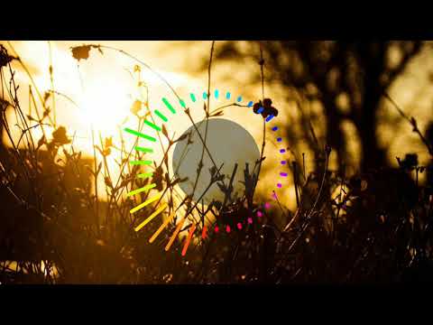 Rasa Dilema ( W_Homeland x Ricky StillRap )