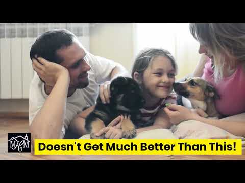 Family is Everything