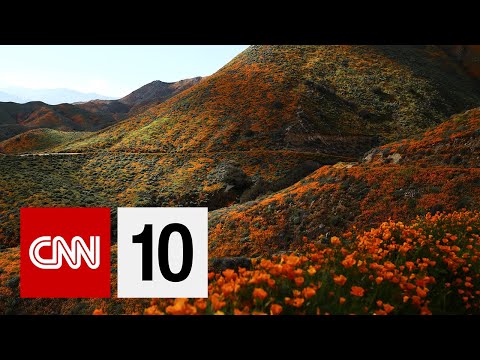 カリフォルニアのスーパーブルーム｜2019年3月1日 (Super Bloom in California | March 1, 2019)