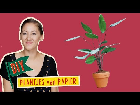 How to Make Miniature Paper Plants