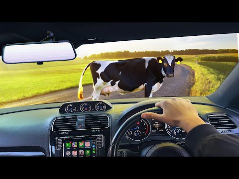 Funniest Moments Caught On Dashcam