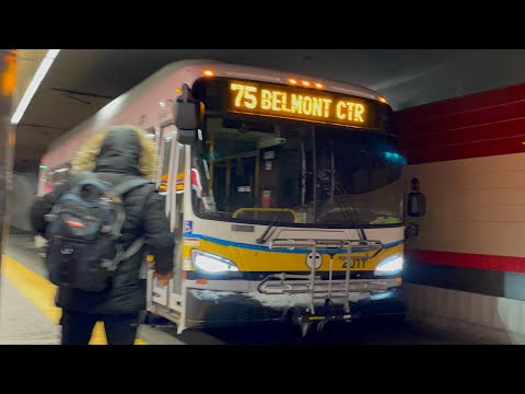 The Suburban Bus! | Yoshi's Ride Series {S5-E07} - Riding the 75 🚌 - {MBTA}