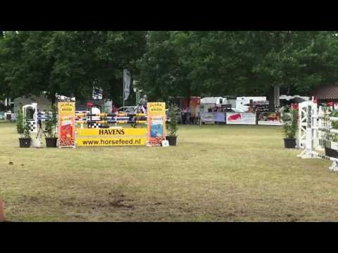 Diacontinus S - Sieg in Sottrum