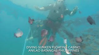 Diving @ Sunken  Floating Casino 1970's Anilao Batangas  Philippines  July 29 2014