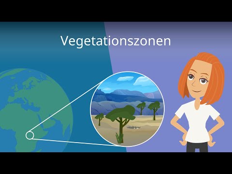 Vegetationszonen & Klimazonen einfach erklärt!