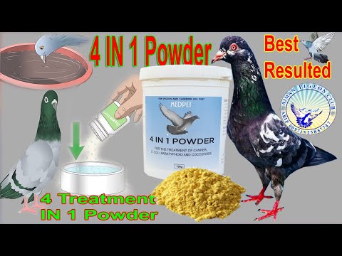 4 in 1 Powder|Highly Popular treatments in Pigeons|Treatments 4 Canker~Coccidisis~E.Coli~Paratyphoid