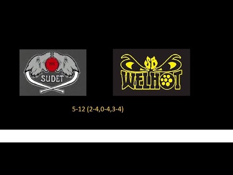 Maalikooste 12.11.2016(D1) Sudet Punainen - SB Welhot Stars 5-12(2-4,0-4,3-4)