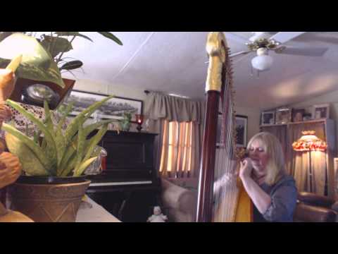 Beatles on the lever harp- Yesterday