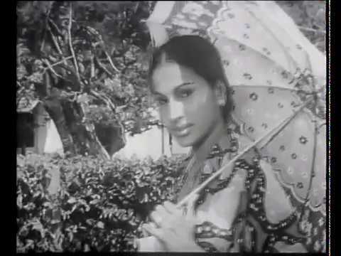 හංස විලක්හි හෙමින් සැරේ සිනමා පටය  | Hemin Sare Piya Wida TM Jayaratne Sunila Abeysekara #shorts