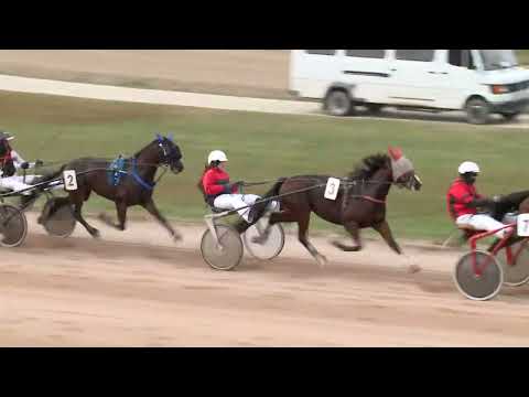 2022.11.12. 13. futam - SRBOBRANI HENDIKEP