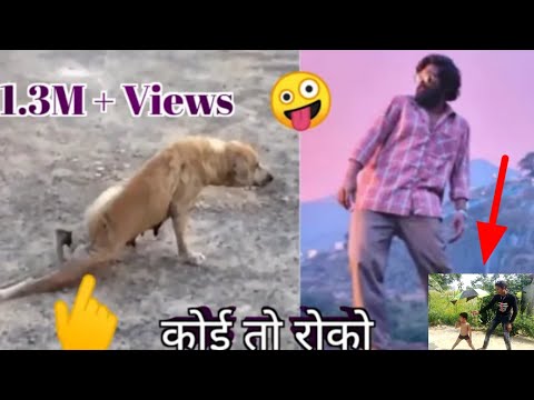 #pushpa#pushpamovie#pushparaj#puspa #push || Allu Arjun Famous Dialogue Funny| Pushpa 2 Hindi Dubbed