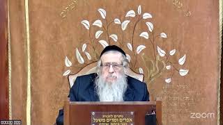 הרה"ג הרב וועכטר שליט"א כ"ז טבת תשפ"ו - ליקוטי שיחות חלק כ"ו שיחה כ' - כ"ד טבת חלק ו (הרב אברהם מנחם מענדל וכטר) - התמונה מוצגת ישירות מתוך אתר האינטרנט יוטיוב. זכויות היוצרים בתמונה שייכות ליוצרה. קישור קרדיט למקור התוכן נמצא בתוך דף הסרטון