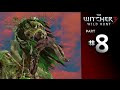 The Witcher 3 Wild Hunt Walkthrough Part 8 ...