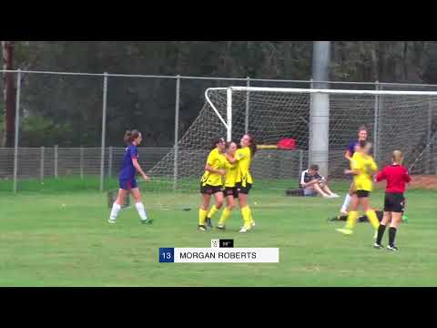 Highlights: Round 4 - NWS Koalas v Manly United - NPL NSW Women's 2018