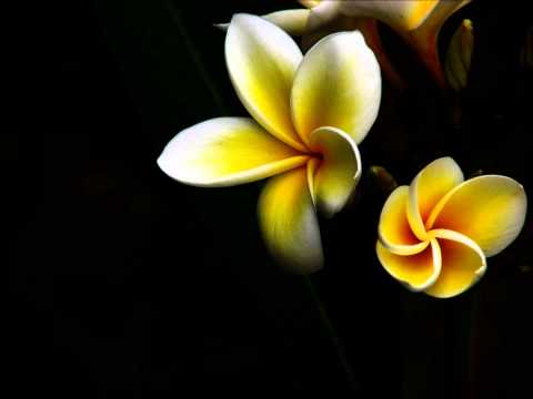 Deejay Neps vs Domo Ni Cakau- Ko yalataka