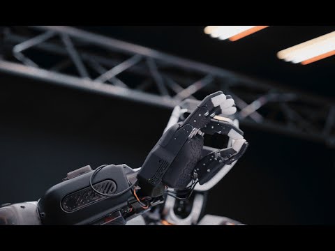 Phoenix Review Video 3