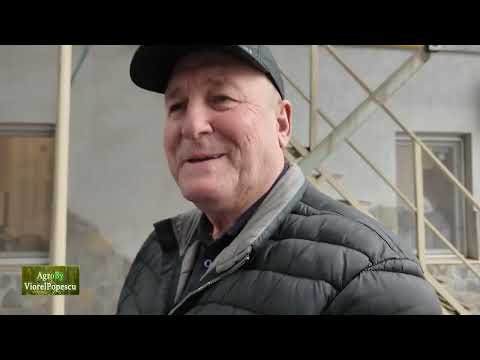 Calitate nu doar cantitate la Agromar Balotesti