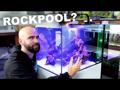 Making FIRST SALTWATER Tank in the Studio (EP1)