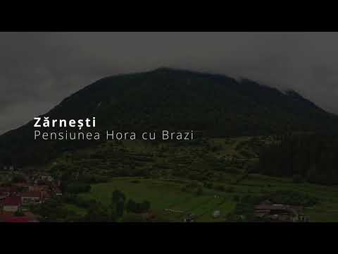 Test drona #Zarnesti -Hora cu brazi