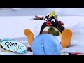 Stinky Pingu Pingu Official Cartoons For Kids