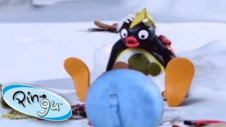 Stinky Pingu | Pingu Official | Cartoons for Kids