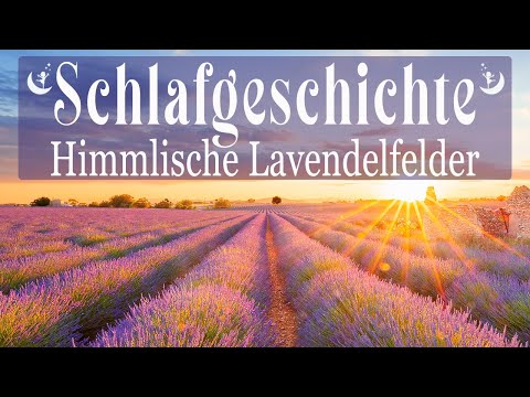 Leicht einschlafen & ruhig durchschlafen ✦ Meditation zum Schlafen ✦ Schlafgeschichte Lavendelfelder