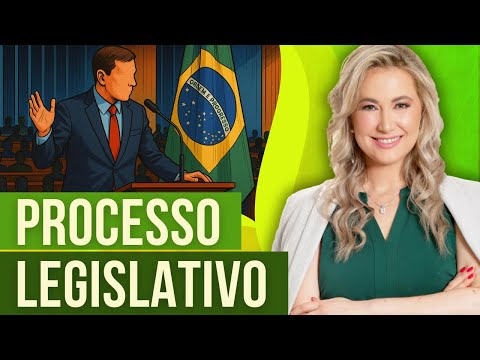 LEGISLATIVE PROCESS (Summary) - Constitutional Law | How is a Law created?