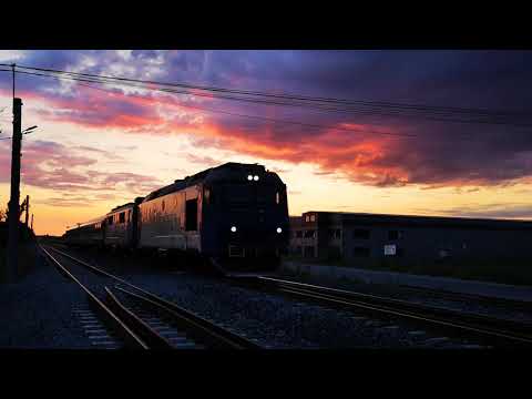 R 7032 Urziceni - București Nord Gr A cu DA 1051 la roata, trece la Parc Mogoșoaia, 13.07.2019