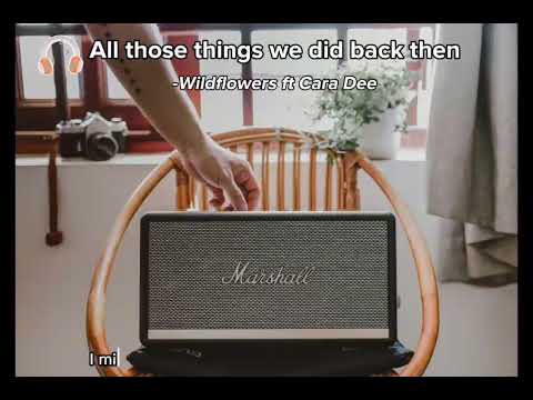 ALL THOSE THINGS WE DID BACK AGAIN - Wildflowers ft Cara Dee