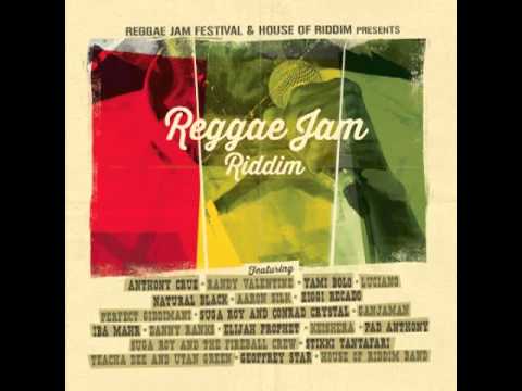 STIKKI TANTAFARI "Fight We Ah Fight"