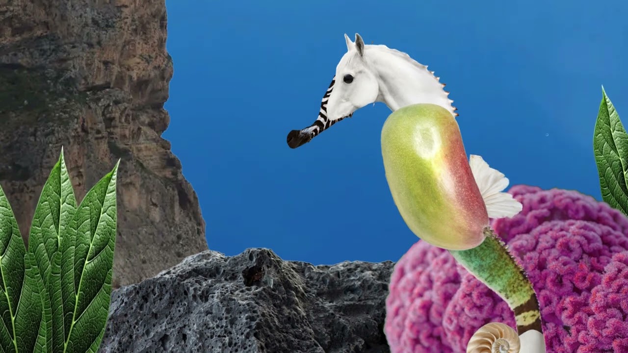 Seahorse Collage Animation
