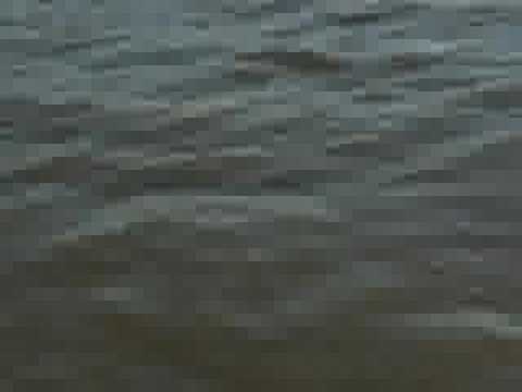 Glastron SX 195 with Corsa Performance