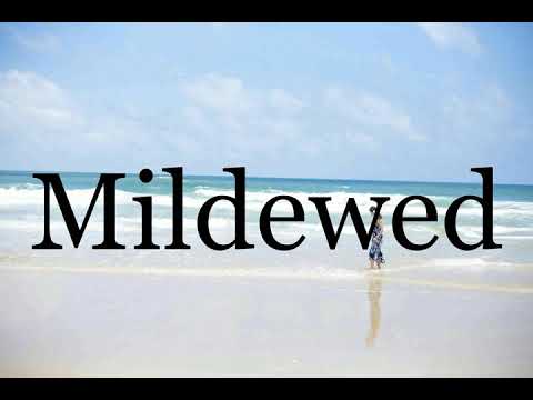 How To Pronounce Mildewed🌈🌈🌈🌈🌈🌈Pronunciation Of Mildewed