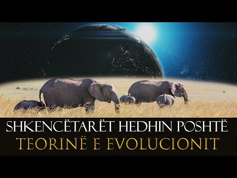 Mashtrimi i madh qe zbuloi te verteten!